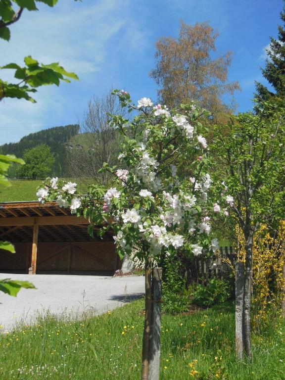 Haus Schoenleiten Wagrain Eksteriør bilde
